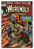Werewolf By Night #17 VF Ploog Marvel Comics Bronze Age Horror 1974 Behemoth