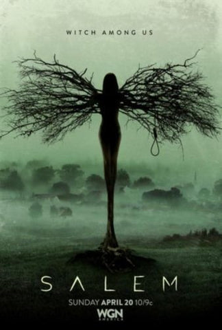 Salem WGN TV 17"x11" Witch Among Us Season One promo poster - redrum comics