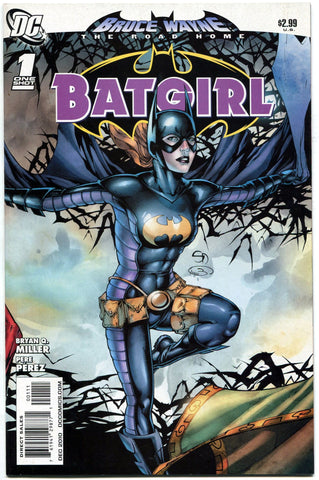 Bruce Wayne the Road Home Batgirl #1 One-Shot DC Comics 2010 Batman Robin Oracle - redrum comics
