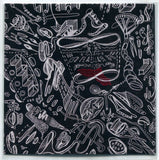 Helvetia & Built To Spill Spooky Action At The Sufferbus 7" Flexi Disc Joyful Noise