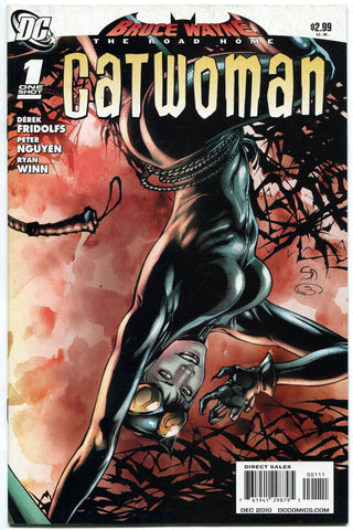 Bruce Wayne the Road Home Catwoman #1 One-Shot DC Harley Quinn Batman Poison Ivy - redrum comics