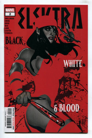 Elektra Black White and Blood #2 Adam Hughes Negative Space Cover NM